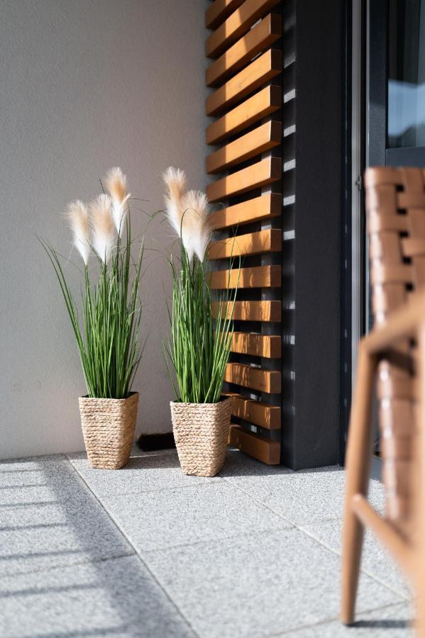 Szary Wilk Apartament Щирк Экстерьер фото